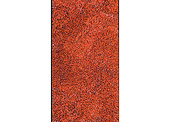 Картина CattedraleE N.37