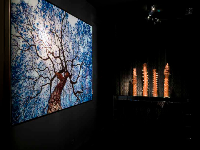 Картина Tree of Dream