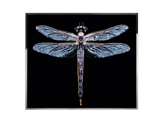 Картина  Libra