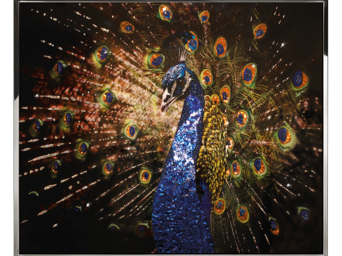 Картина Pavone