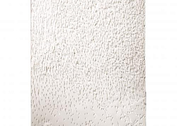 Картина  Alveolizzazione N.7