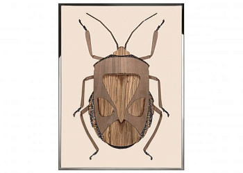 Картина Beetle C