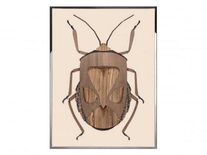 Картина Beetle C