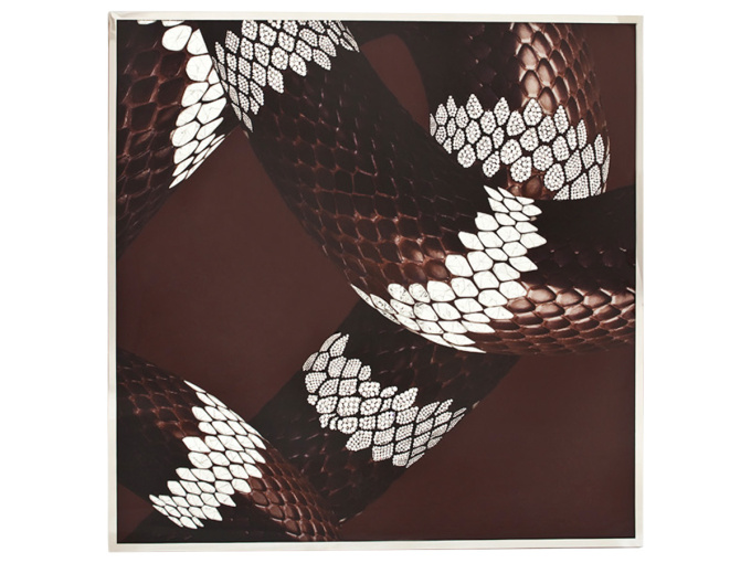 Картина Serpenti