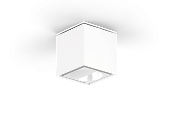 Потолочный светильник  Sasso 60 round celinf