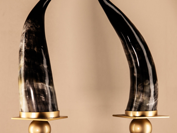 Украшение для стола Horn And Ostrich Eggshell