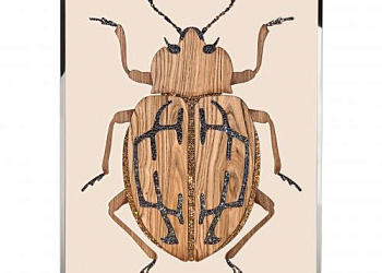 Картина  Beetle E