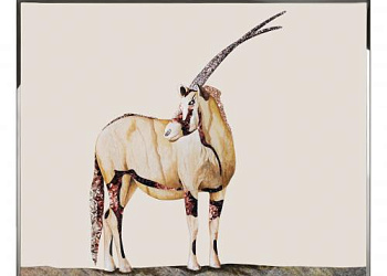 Картина   Antiope