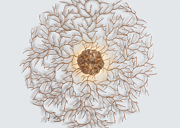 Настенний светильник Zoa Eye Extra Large