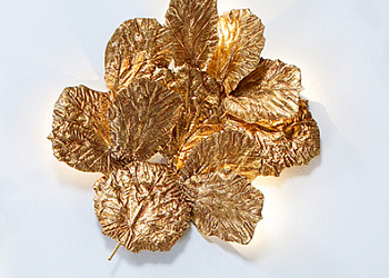 Бра Pathleaf Heap Small