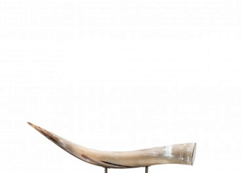 Скульптура Cassiopea