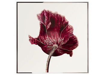 Картина  Opium