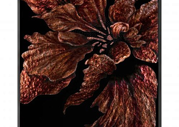 Картина Brown Flower