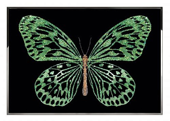 Картина  Green Butterfly