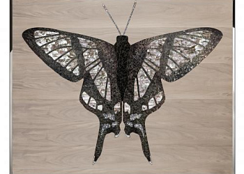 Картина Danaus