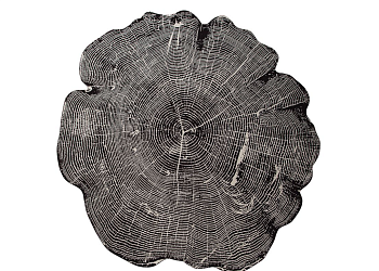 Килим Empreinte