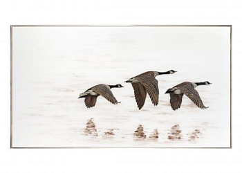 Картина  Germani  Reali