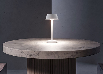 Настільна лампа Firefly in the sky