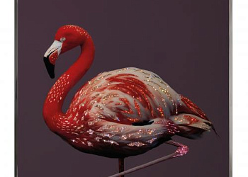 Картина  Fenicottero