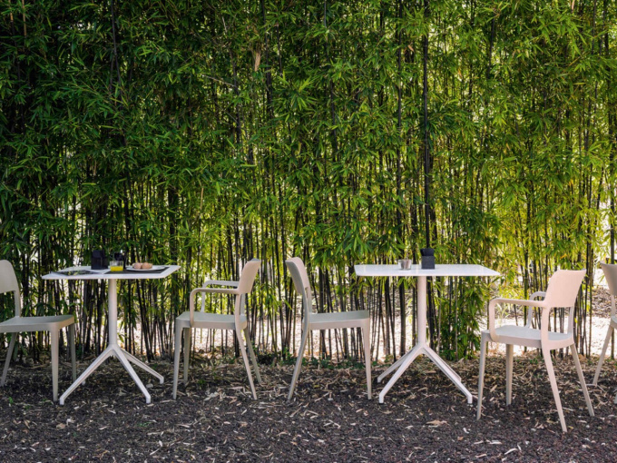 Стул Nenè P PP TS