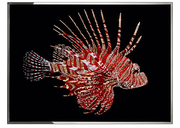 Картина Pesce Scorpione