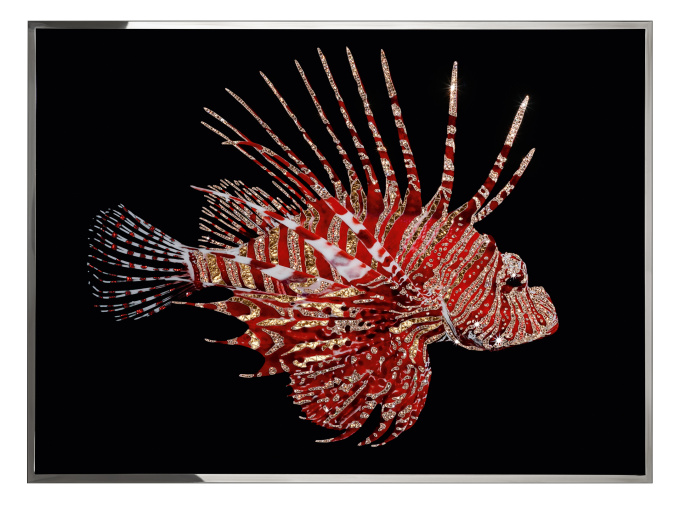 Картина Pesce Scorpione