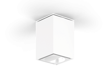 Потолочний світильник Sasso 60 round celinf