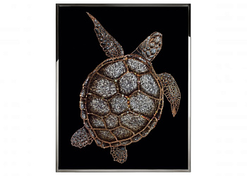 Картина Tartaruga