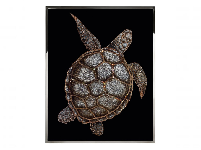Картина Tartaruga