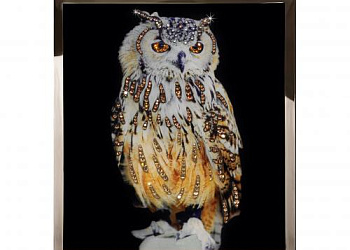 Картина  Gufo Mini