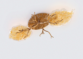 Люстра Outono Holly