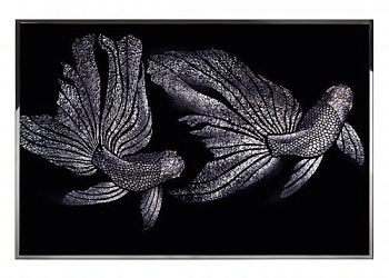 Картина  Golden Fish