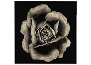 Картина Rosa Fossile