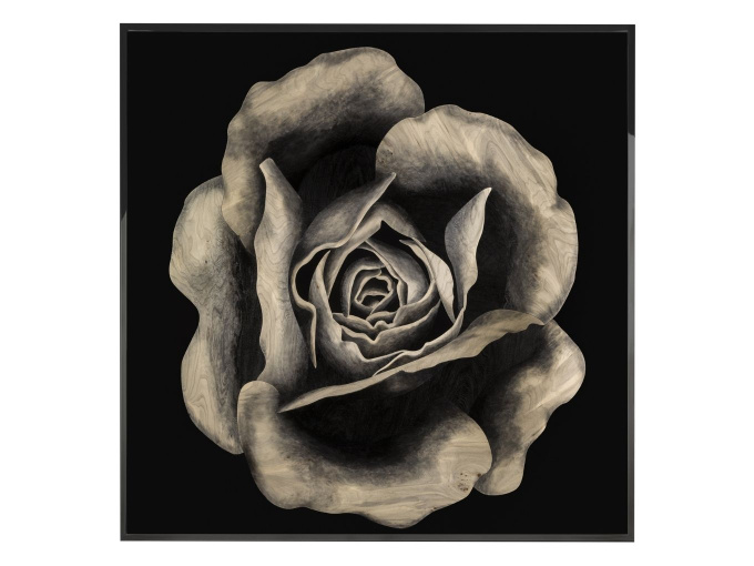 Картина Rosa Fossile