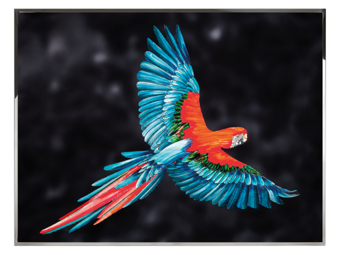 Картина Parrot