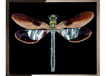 Картина   Michele Astolfi