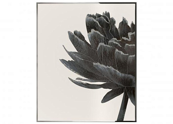 Картина Black Flower