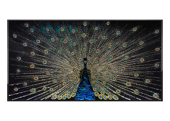Картина Peacock