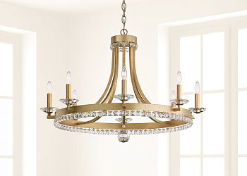 Early american er 1008