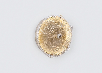 Бра Nenufar Aura Medium