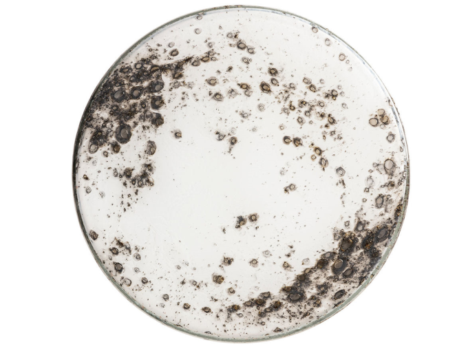 Настенная лампа Orla Large Wall Light