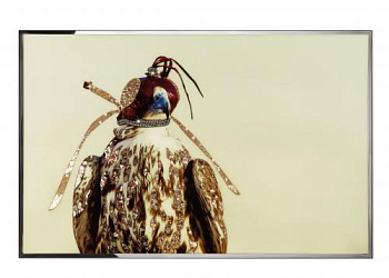 Картина  Falco