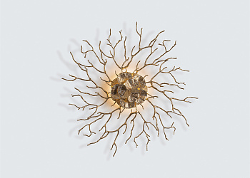 Бра Coral Zoa Eye Small