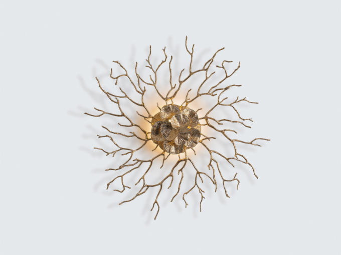 Бра Coral Zoa Eye Small