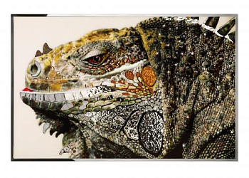 Картина  Iguana