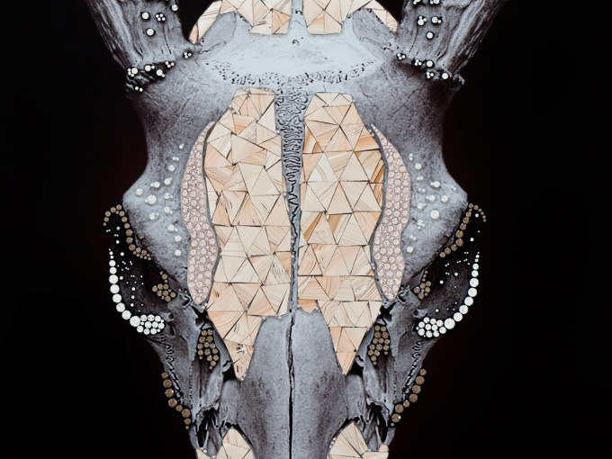 Картина Trofeo Cervo