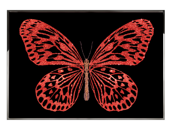 Картина Red Butterfly