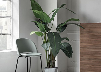 Барный стул Polo Sgabello rivestito