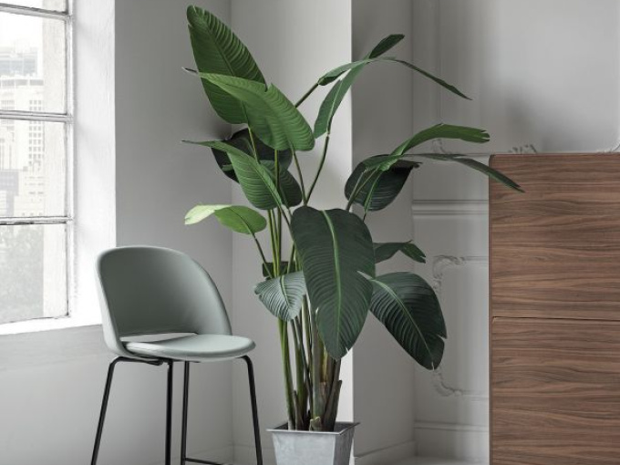 Барный стул Polo Sgabello rivestito