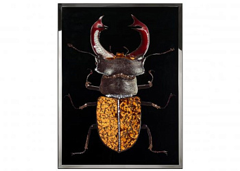 Картина Michele Astolfi